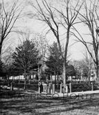 Wooster Square